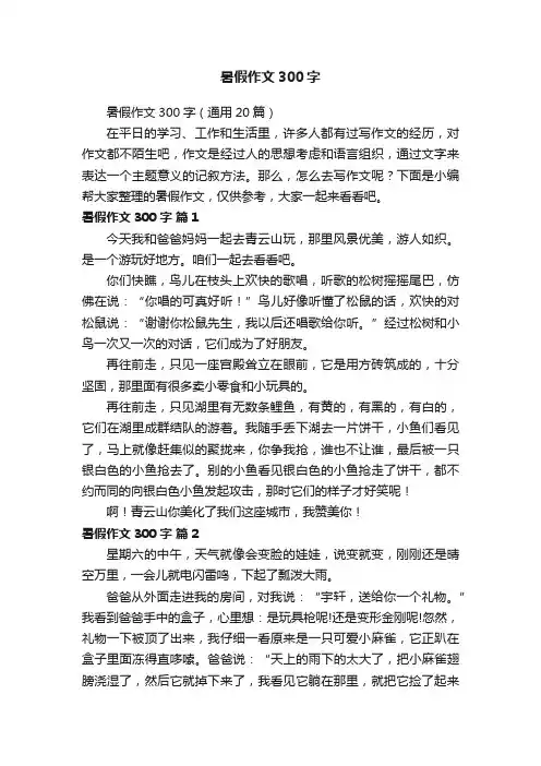 暑假作文300字（通用20篇）