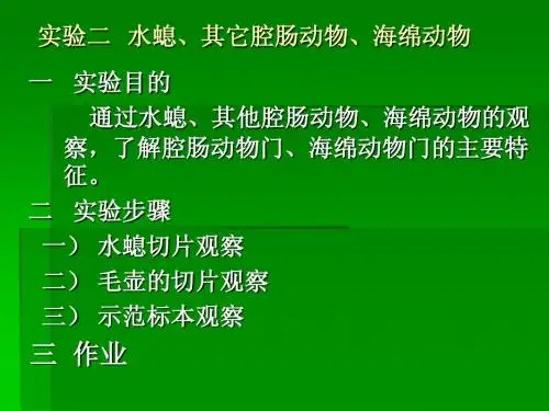 2 无脊椎动物学实验2  Microsoft PowerPoint 演示文稿