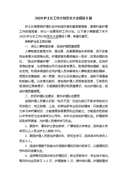 2020护士长工作计划范文大全精选5篇