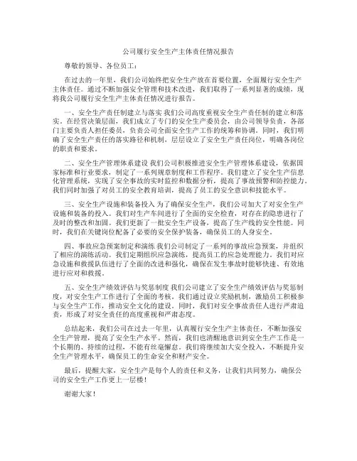 公司履行安全生产主体责任情况报告