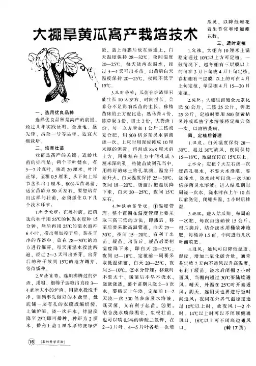 大棚旱黄瓜高产栽培技术