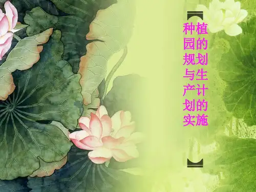 园艺植物种植园的规划与生产计划的实施(PPT 60页)