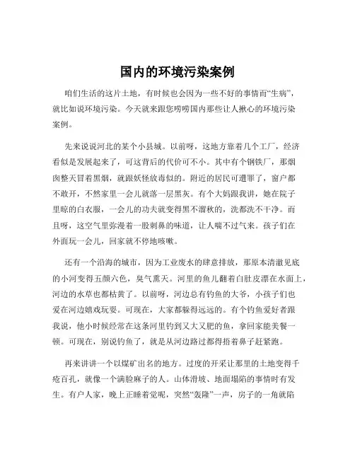 国内的环境污染案例