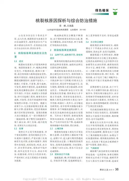 桃裂核原因探析与综合防治措施