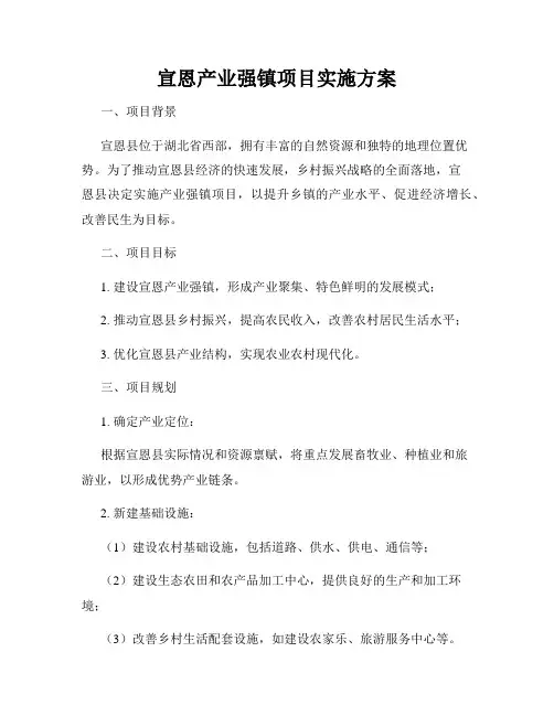 宣恩产业强镇项目实施方案
