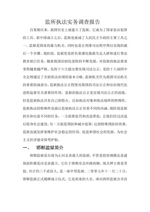 监所执法实务调查报告