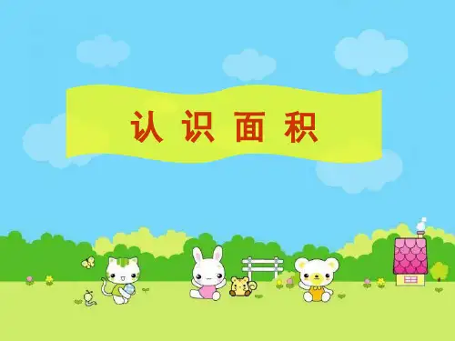 三年级上册数学课件-4.24 认识面积丨浙教版  (共21张PPT)