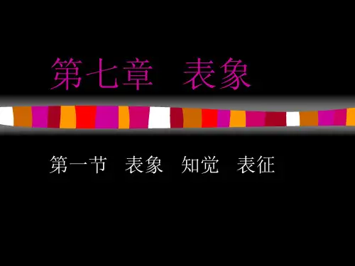 第七章   表象