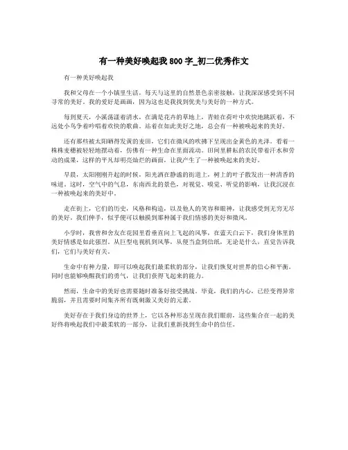 有一种美好唤起我800字_初二优秀作文
