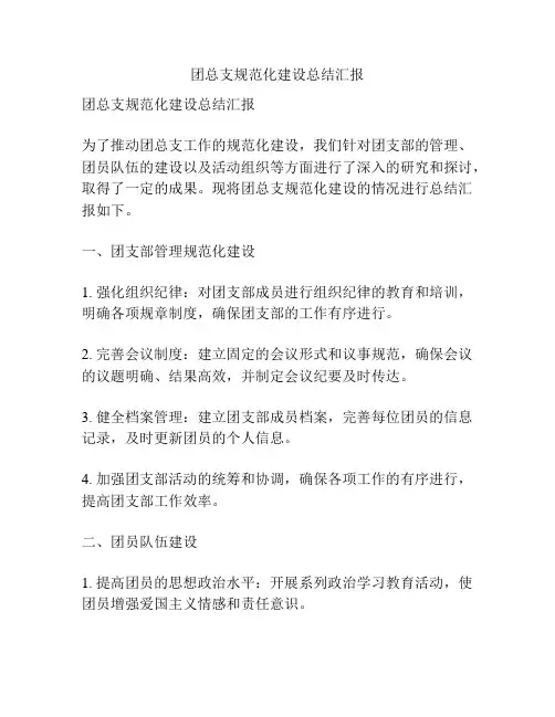 团总支规范化建设总结汇报