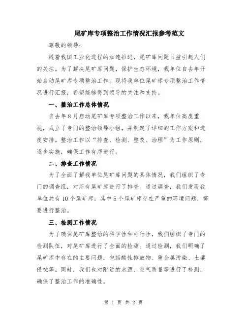 尾矿库专项整治工作情况汇报参考范文