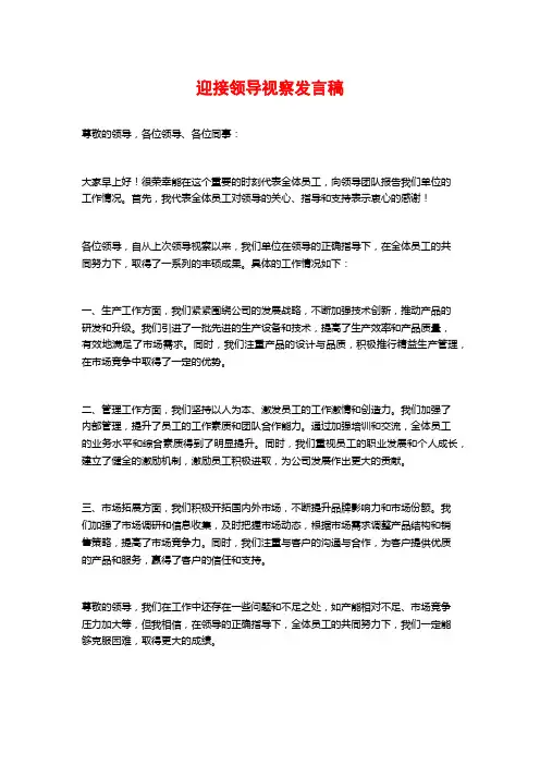 迎接领导视察发言稿