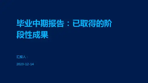 毕业中期报告：已取得的阶段性成果
