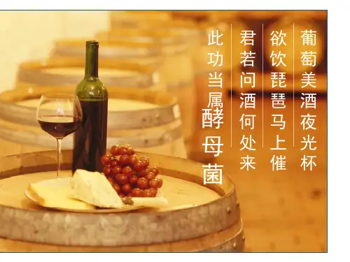 专题一  课题1 果酒和果醋的制作.ppt