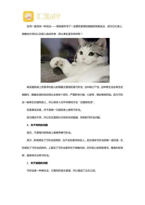 怀孕可以养猫养狗吗