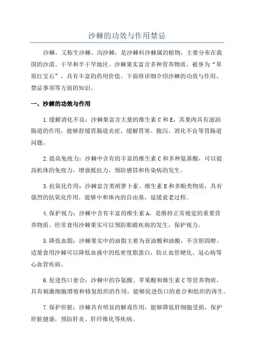 沙棘的功效与作用禁忌