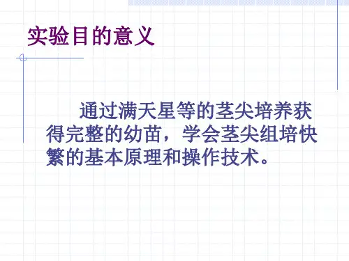 植物组织培养综合实验2
