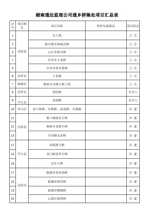 项目汇总表