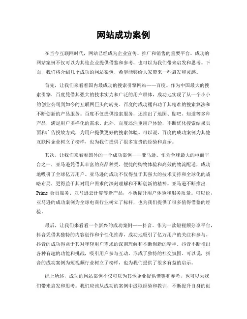 网站成功案例