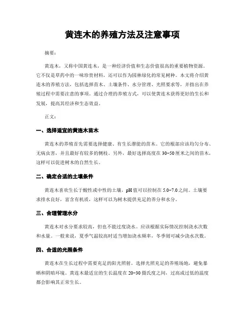 黄连木的养殖方法及注意事项