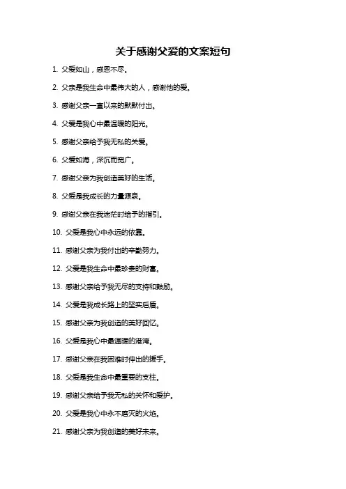 关于感谢父爱的文案短句