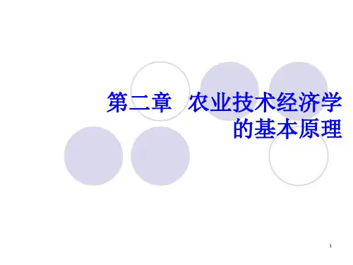 农业技术经济学的基本原理