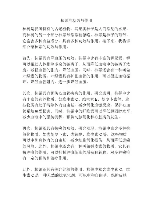 柿蒂的功效与作用