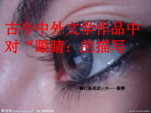 古今中外文学名著对眼睛的描写课件