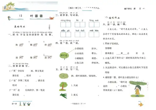 一年级下册语文试题同步练：13 荷叶圆圆人教部编版