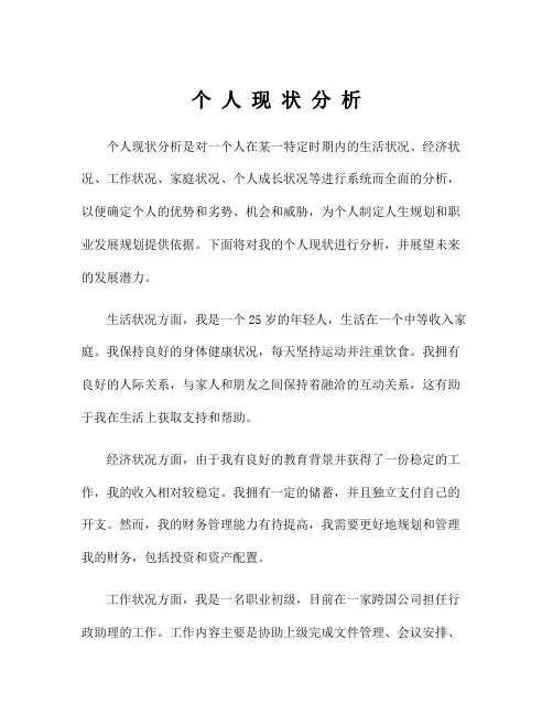 个 人 现 状 分 析