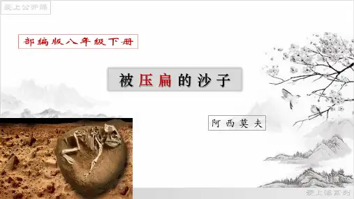 6 阿西莫夫短文两篇《阿西莫夫短文两篇》之《被压扁的沙子》公开课课件(共43张PPT)