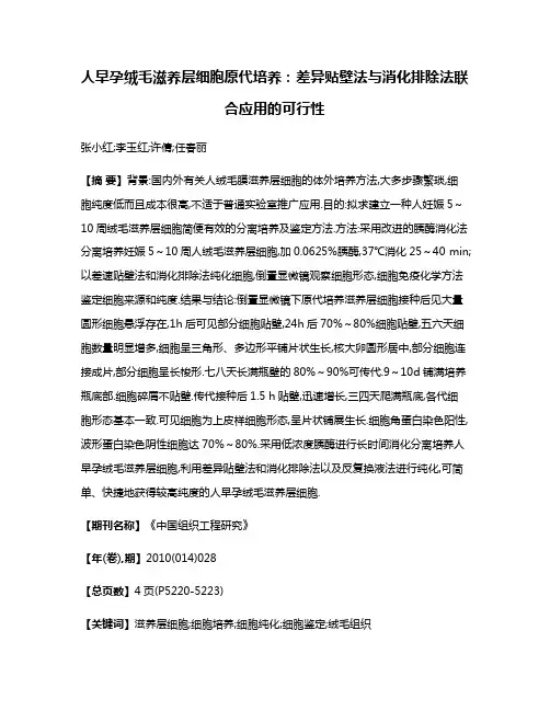 人早孕绒毛滋养层细胞原代培养:差异贴壁法与消化排除法联合应用的可行性