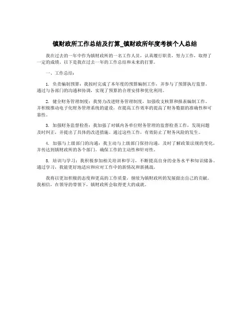 镇财政所工作总结及打算_镇财政所年度考核个人总结