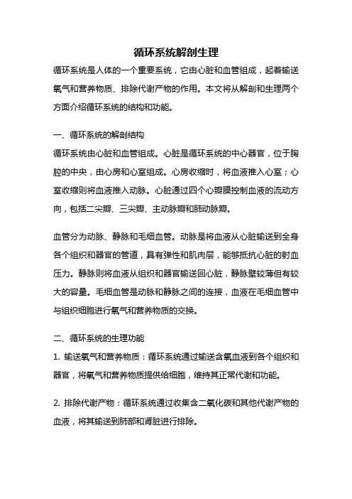 循环系统解剖生理
