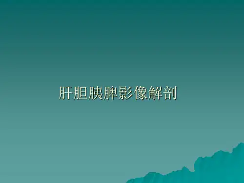 肝胆脾胰CT解剖-精品医学课件