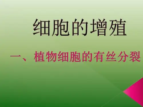 人教版高中生物必修一第6章第一节《植物细胞的有丝分裂过程》优质课件(共12张)讲述