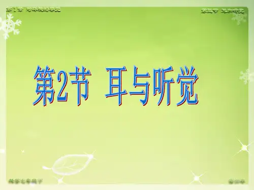3.2耳与听觉PPT