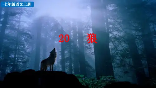 2024语文部编版七年级上册第五单元20 狼积累探究课件ppt
