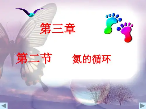 氮的循环课件