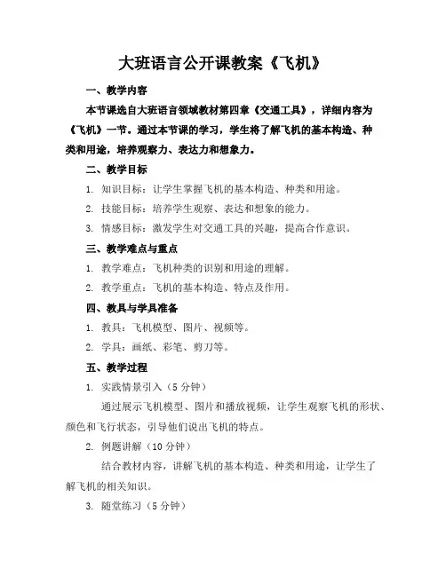 大班语言公开课教案《飞机》
