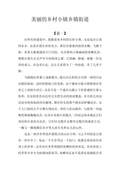 美丽的乡村小镇乡镇街道