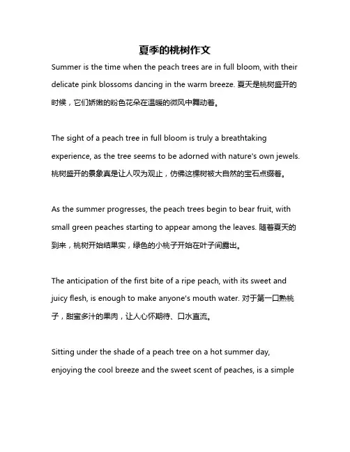 夏季的桃树作文