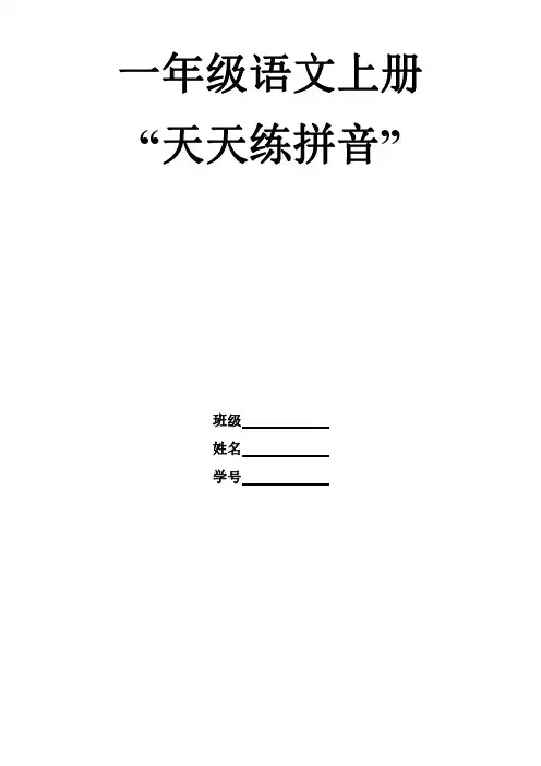一年级-拼音天天练