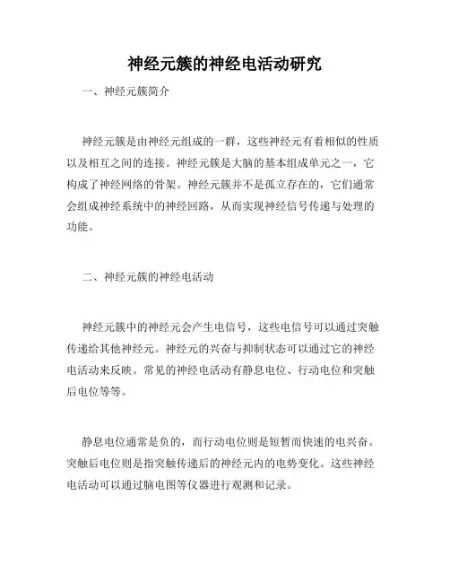 神经元簇的神经电活动研究