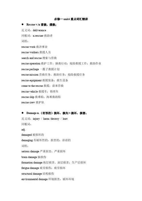 高中英语人教版(2019)必修第一册Unit 4 Natural Disasters重点词汇讲义素材