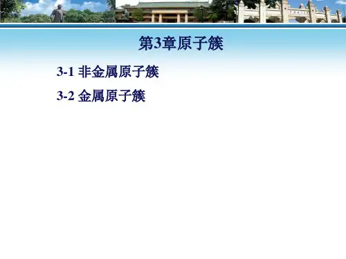 原 子 簇