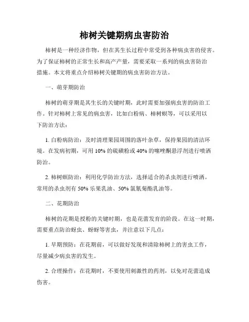 柿树关键期病虫害防治
