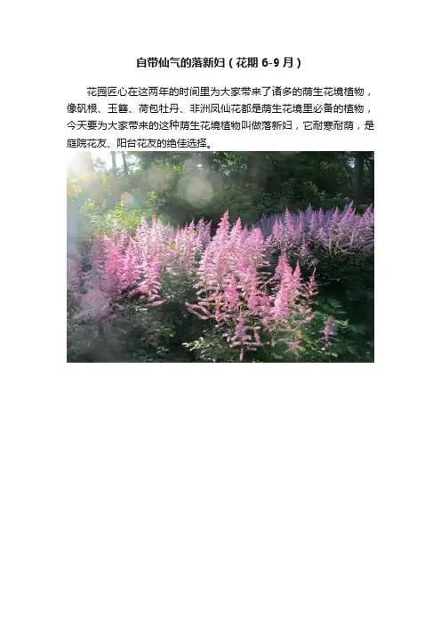 自带仙气的落新妇（花期6-9月）