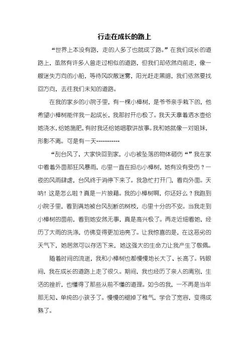 初三作文：行走在成长的路上作文600字