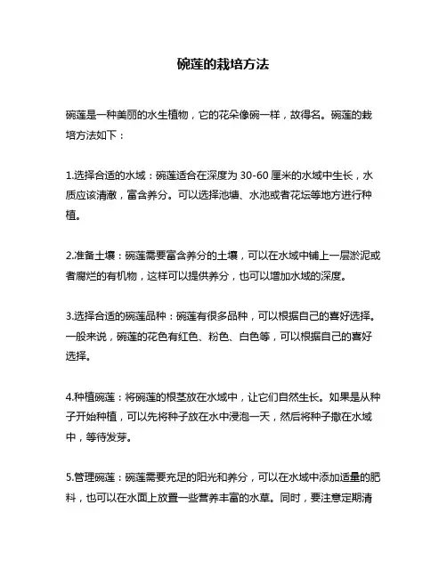 碗莲的栽培方法